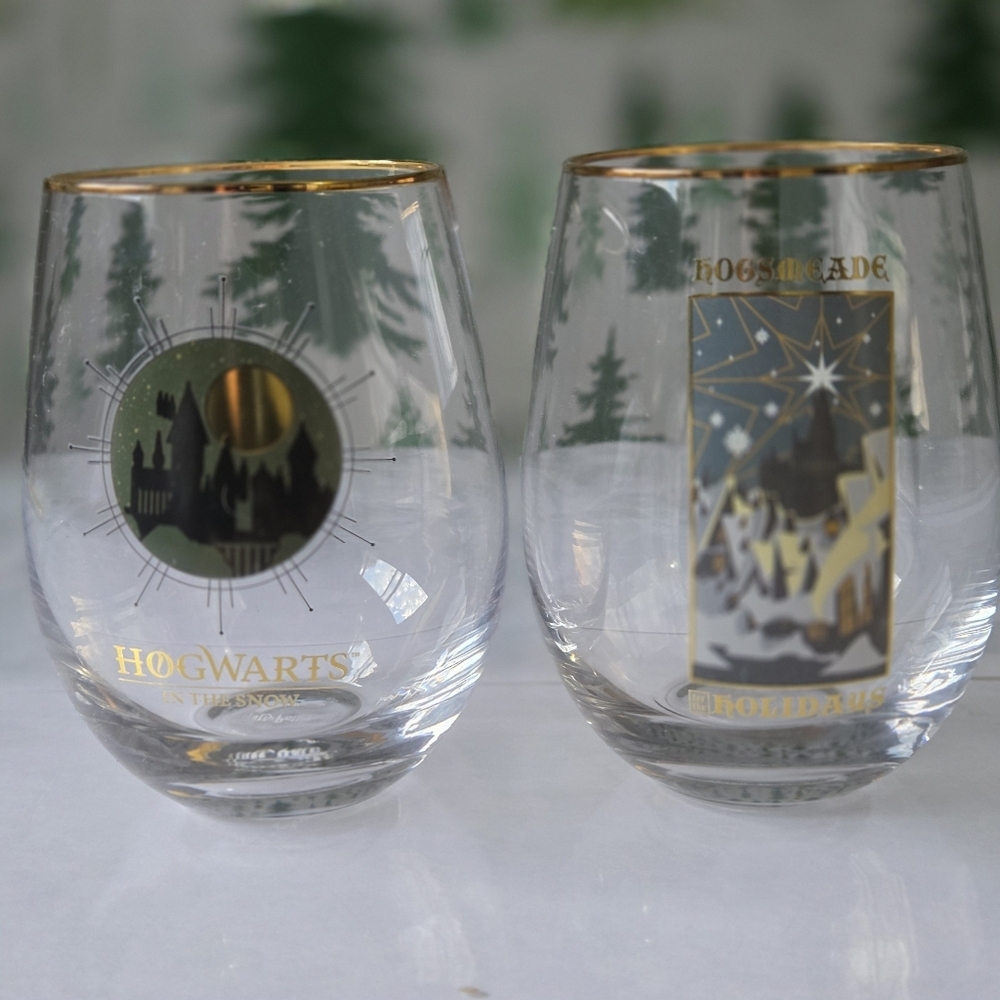Hogwarts Themed Drinking Glass Set with Gold Accents